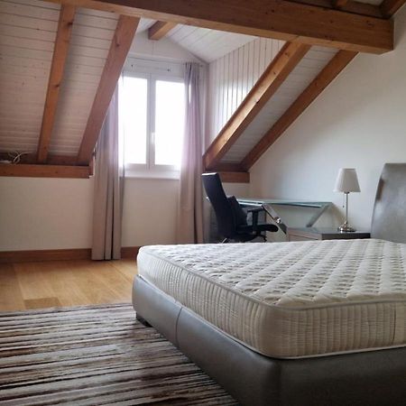 Penthouse In Cologny Switzerland Daire Cenevre Dış mekan fotoğraf