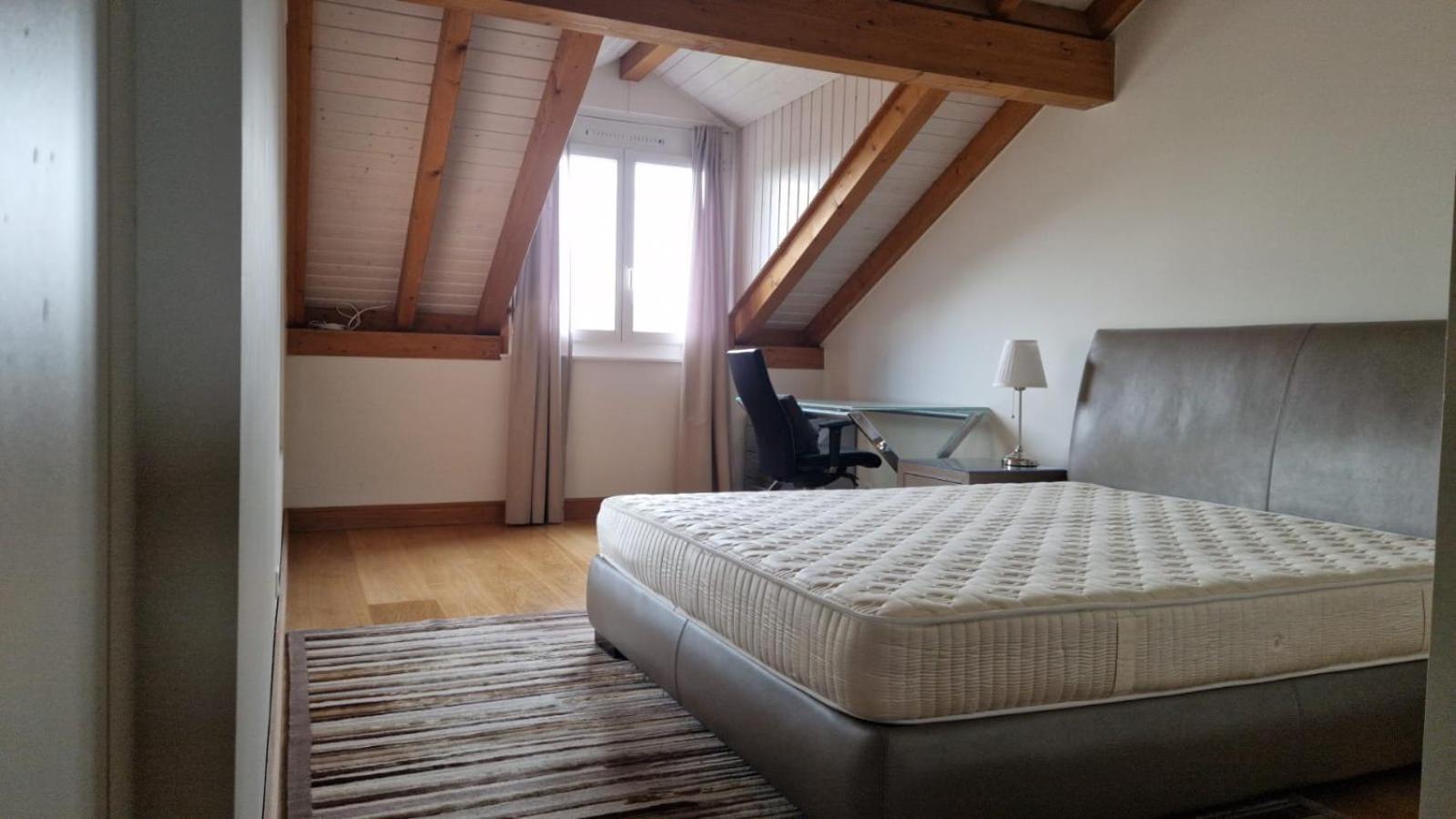 Penthouse In Cologny Switzerland Daire Cenevre Dış mekan fotoğraf
