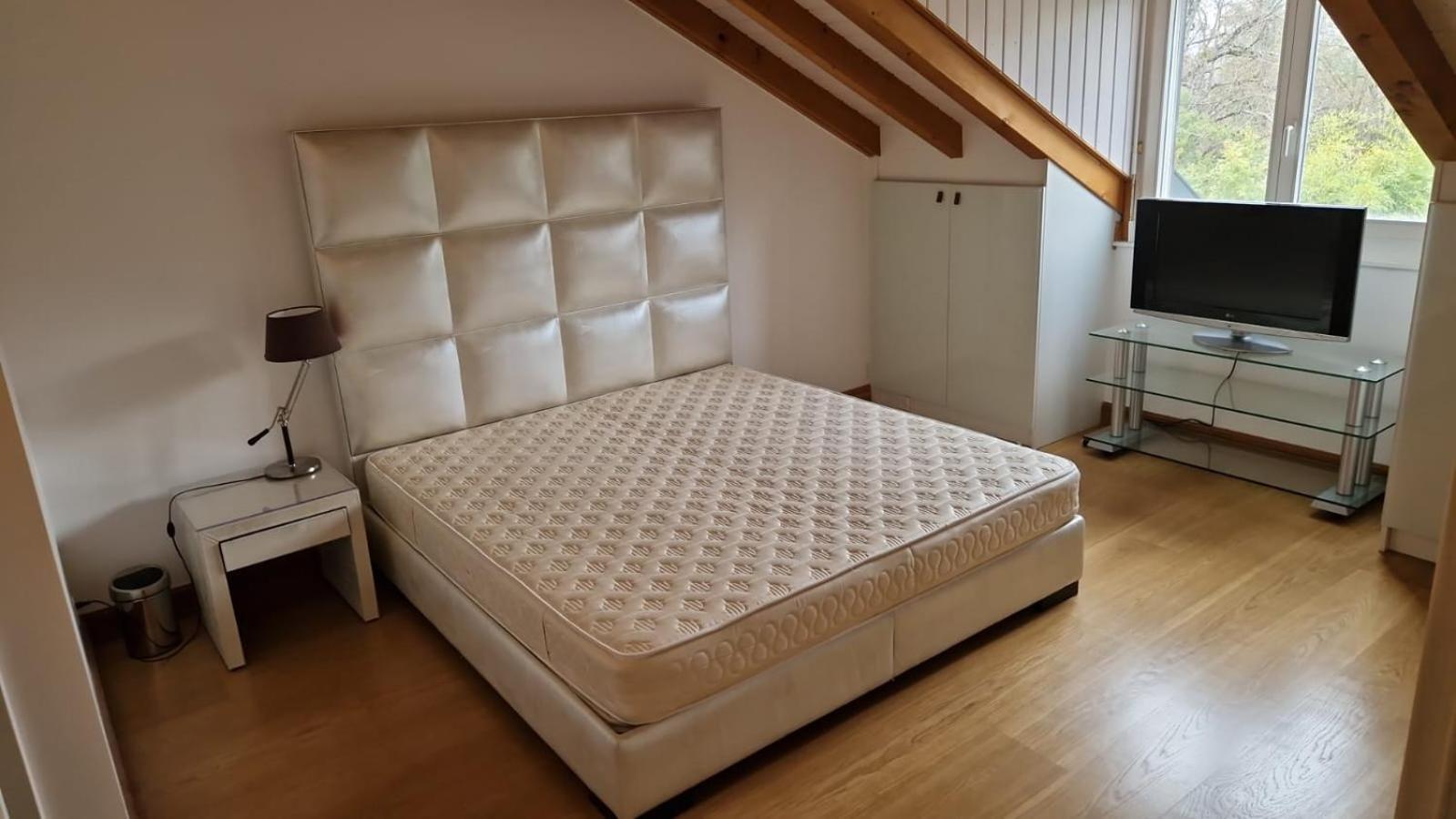 Penthouse In Cologny Switzerland Daire Cenevre Dış mekan fotoğraf